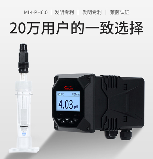 上海在線ph計
